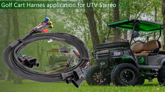 ISO9001 Certified Golf Cart Wire Harness with 1 Year Warranty and 15-20 Days Delivery for Audio Systems